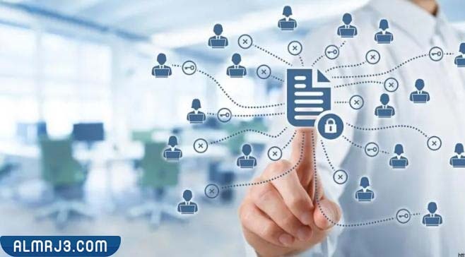 شركة ويكيبيديا