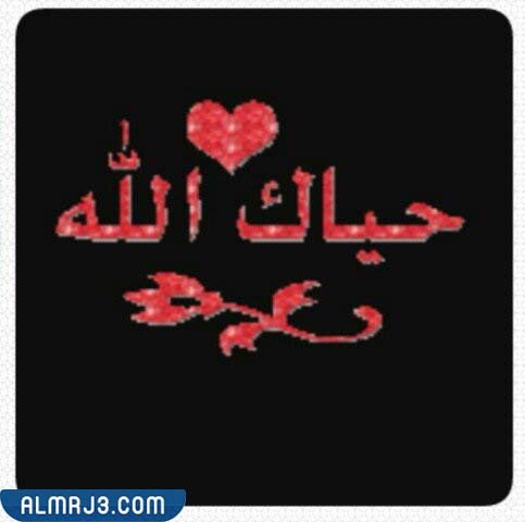 صور الرد على حي الله هالطلة