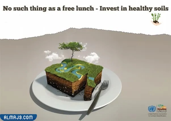 صور عن اليوم العالمي لمكافحة التصحر والجفاف