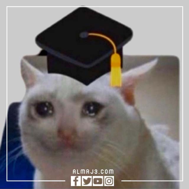 صور وأفكار رياكشنات تخرج مضحكه 2022