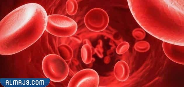 طرق علاج حموضة الدم