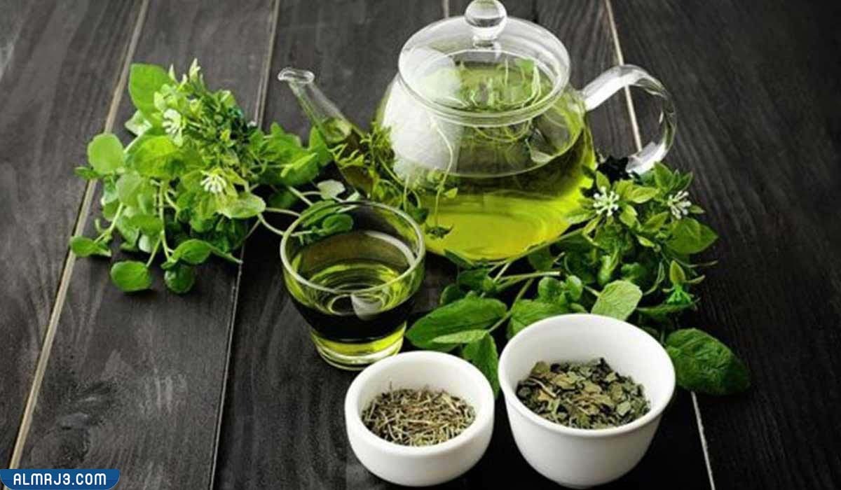 طريقة عمل بخاخ الشاي الاخضر للشعر