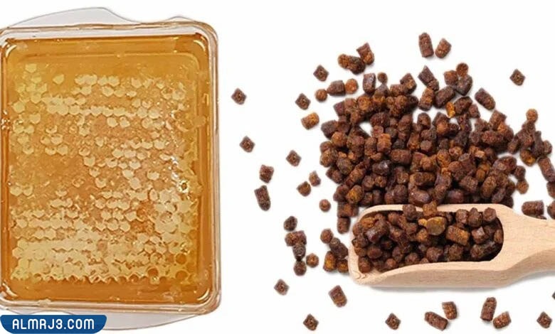 ما هو العكبر؟