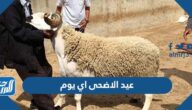 عيد الاضحى اي يوم 2022 موعد عيد الأضحى 2022 عيد الاضحى اي يوم 2022 موعد عيد الأضحى 2022