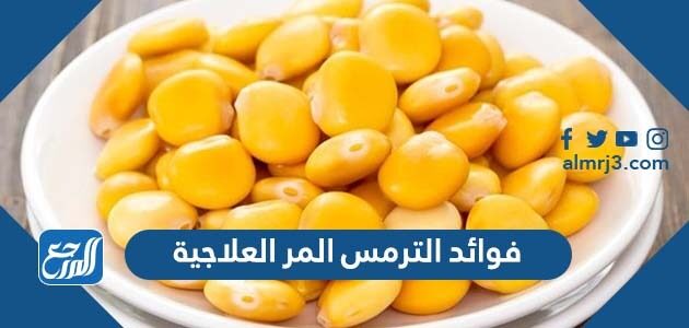 فوائد الترمس المر العلاجية