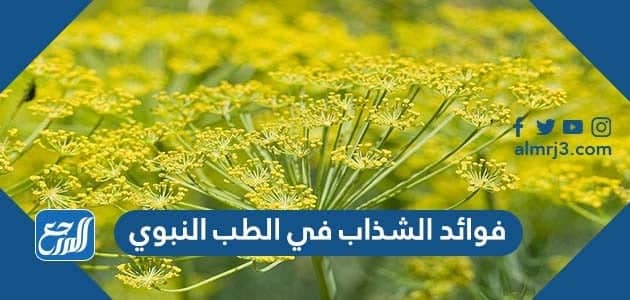 فوائد الشذاب في الطب النبوي