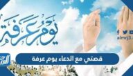 قصتي مع الدعاء يوم عرفة