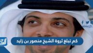 كم تبلغ ثروة الشيخ منصور بن زايد