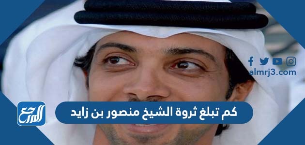 كم تبلغ ثروة الشيخ منصور بن زايد