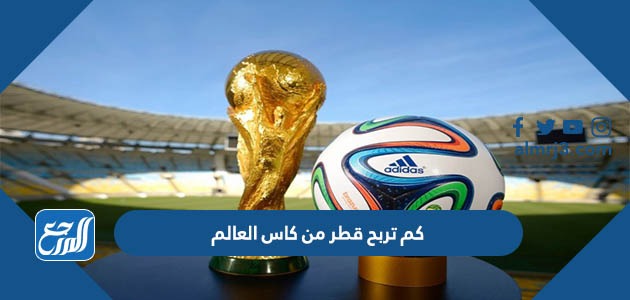 كم تربح قطر من كاس العالم