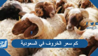 كم سعر الخروف في السعودية 2022 وما هي أسعار الأضاحي 1443