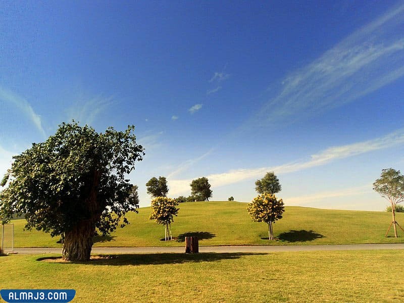 كم طول ممشى حديقة أسباير