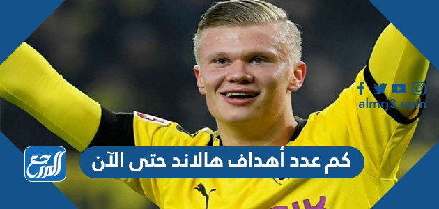 كم عدد أهداف هالاند حتى الآن