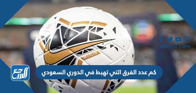 كم عدد الفرق التي تهبط في الدوري السعودي