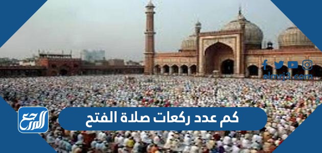 كم عدد ركعات صلاة الفتح