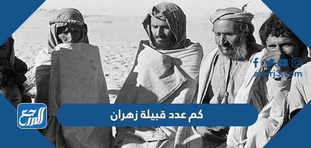 كم عدد قبيلة زهران