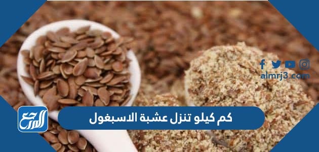 كم كيلو تنزل عشبة الاسبغول