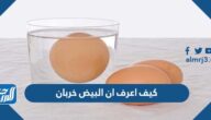 كيف اعرف ان البيض خربان