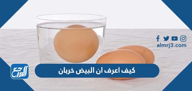 كيف اعرف ان البيض خربان