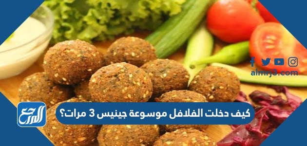 كيف دخلت الفلافل موسوعة جينيس 3 مرات؟