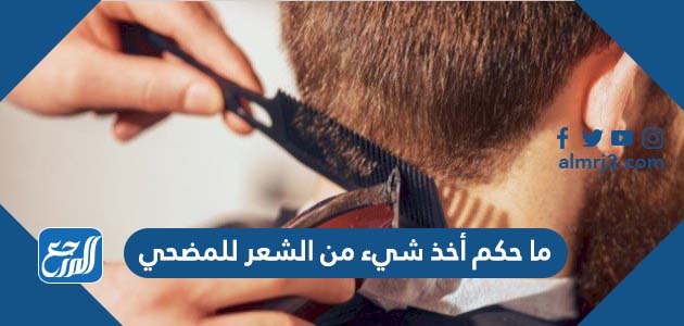 ما حكم أخذ شيء من الشعر للمضحي