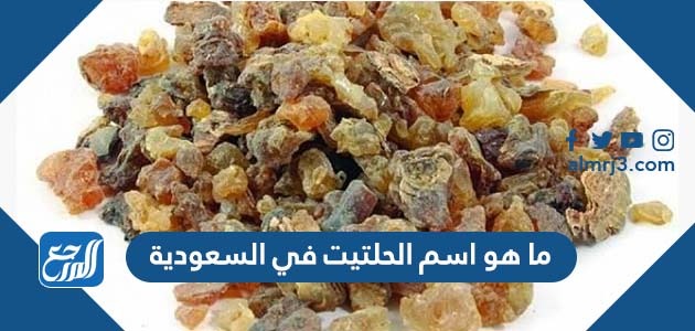 ما هو اسم الحلتيت في السعودية