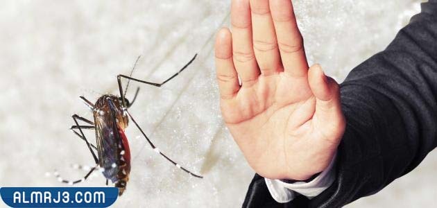 ما هو لون الضوء الذي يجذب الناموس