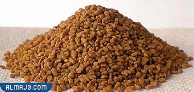 ما هي الحلبة اليمنية