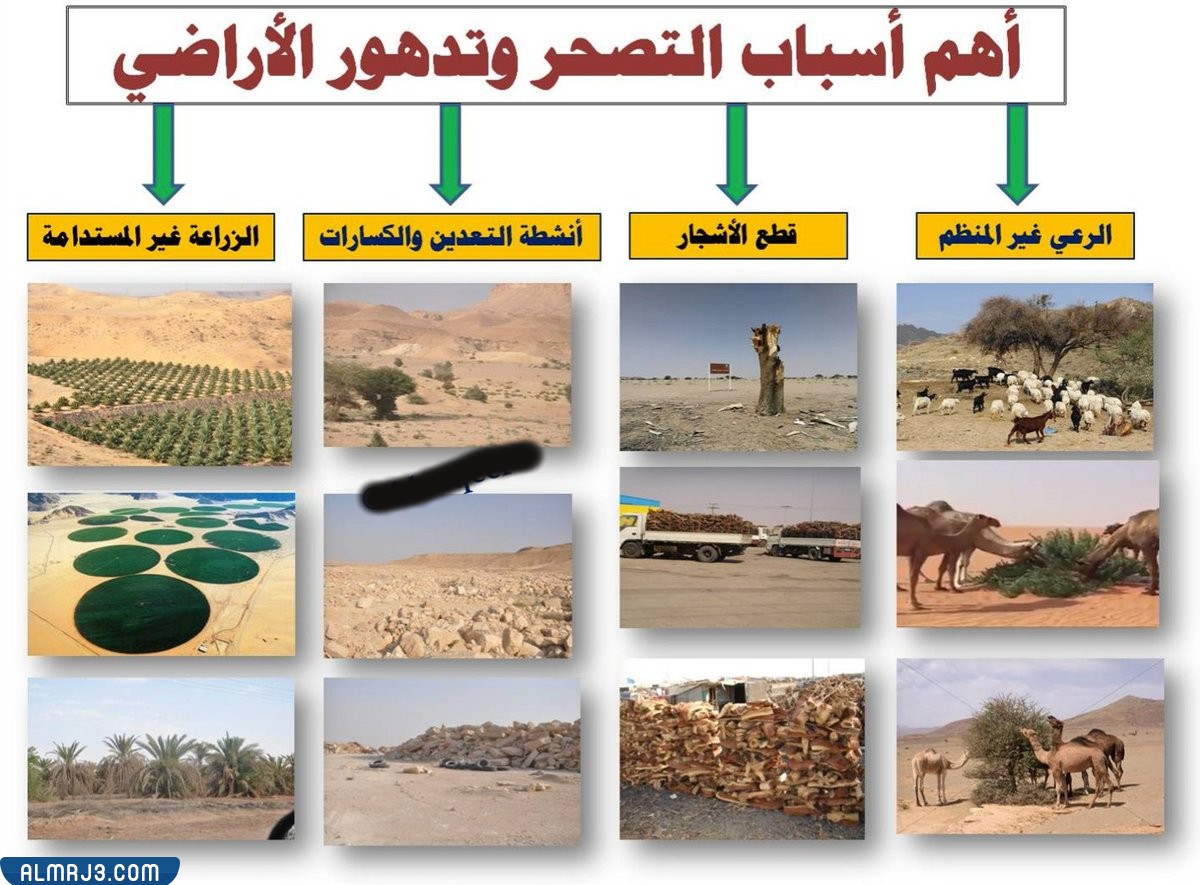 مطوية عن اليوم العالمي لمكافحة التصحر والجفاف جاهزة للطباعة