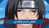 معنى اسم ايتاشي