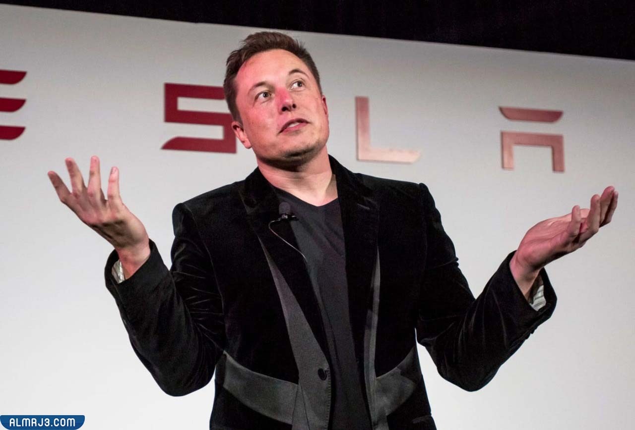 من هو إيلون ماسك ويكيبيديا