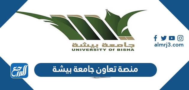 منصة تعاون جامعة بيشة