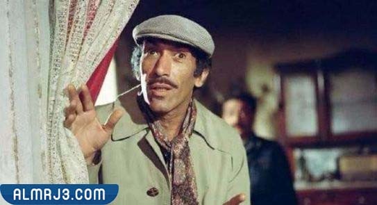 نجاح الموجي السيرة الذاتية