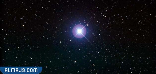 نجم سهيل اليماني ويكيبيديا