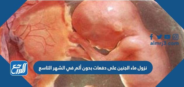 نزول ماء الجنين على دفعات بدون ألم في الشهر التاسع