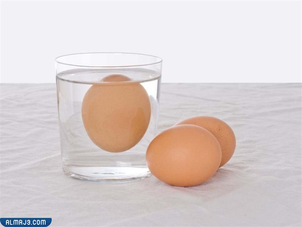 نصائح عند شراء وحفظ البيض