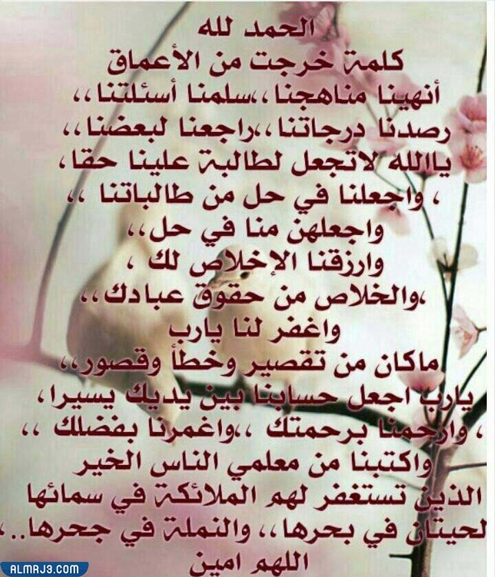 صور عن نهاية العام الدراسي