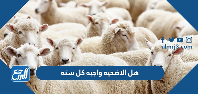 هل الاضحيه واجبه كل سنه