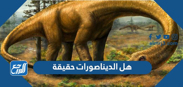 هل الديناصورات حقيقة