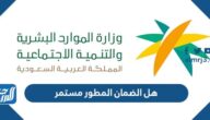 هل الضمان المطور مستمر مدى الحياة