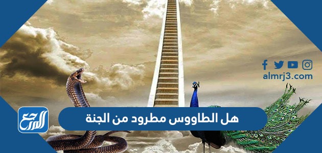 هل الطاووس مطرود من الجنة