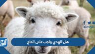 هل الهدي واجب على الحاج