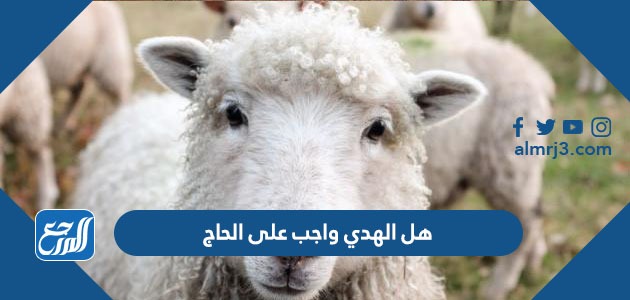 هل الهدي واجب على الحاج