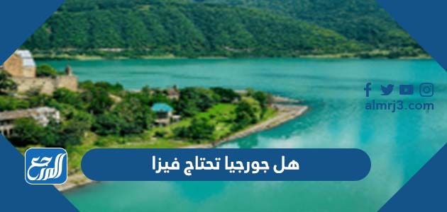 هل جورجيا تحتاج فيزا