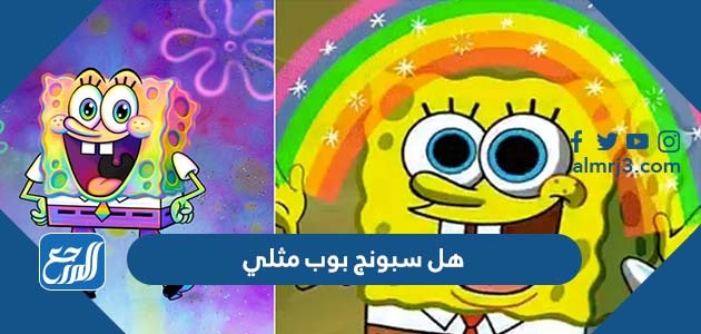 هل سبونج بوب مثلي