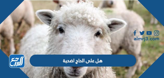 هل على الحاج اضحية