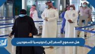 هل مسموح السفر إلى إندونيسيا للسعوديين