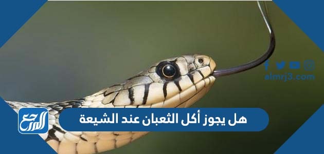 هل يجوز أكل الثعبان عند الشيعة