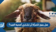 هل يجوز للمرأة أن تشتري أضحية العيد؟