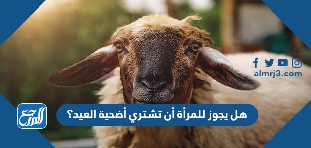 هل يجوز للمرأة أن تشتري أضحية العيد؟